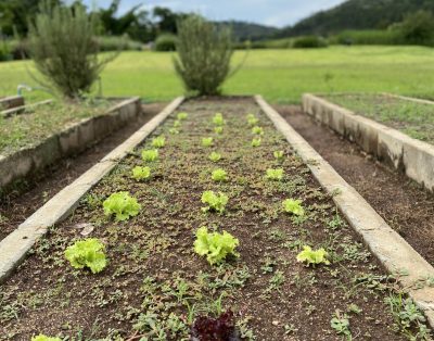 Fazenda Casa Golf e Cheval