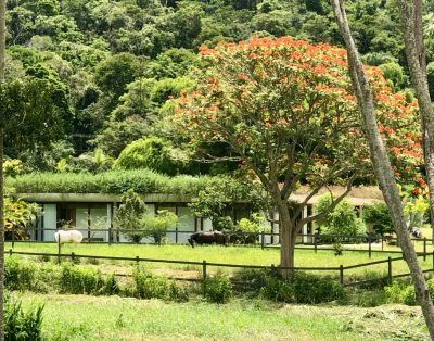 Fazenda Casa Golf e Cheval